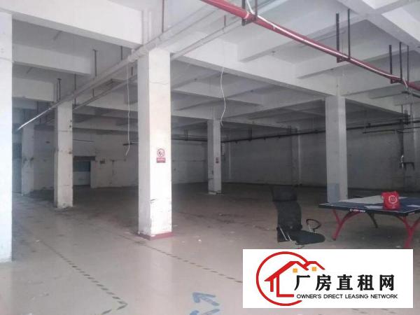 
杨美地铁口新出一楼3750平标准厂房招租！！