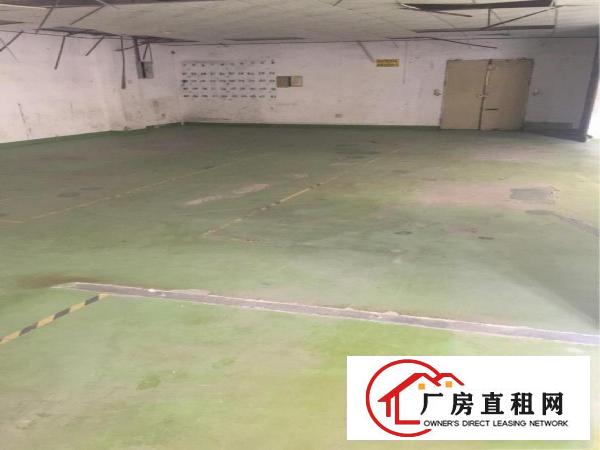 
出租龙岗坂田厂房525平厂房仓库的老板看过来