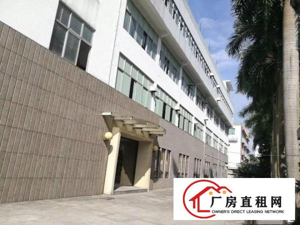 
坂田五和大道，独门独院，精装修，拎包办公2680平
