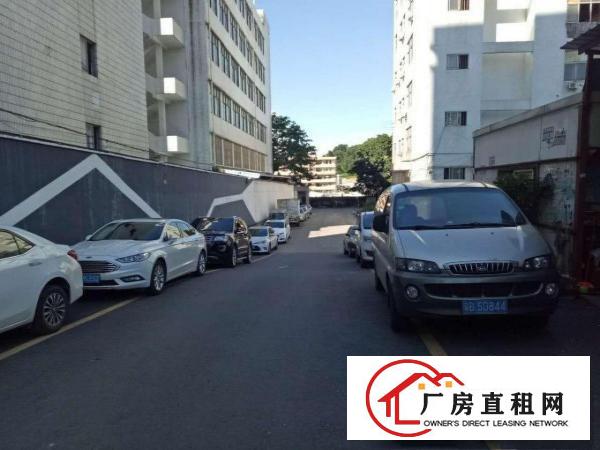 
坂田1000平米带装修厂房出租，不用转让费