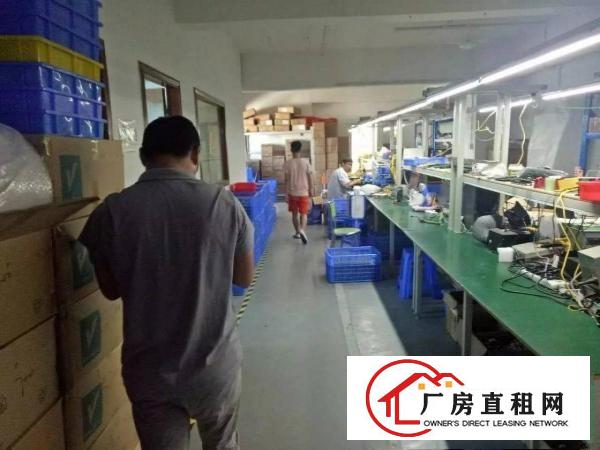 
坂田1000平米带装修厂房出租，不用转让费