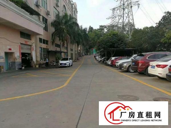 
坂天天虹新出标准精装厂房700平出租