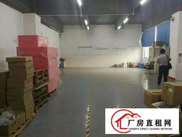 
坂天天虹新出标准精装厂房700平出租