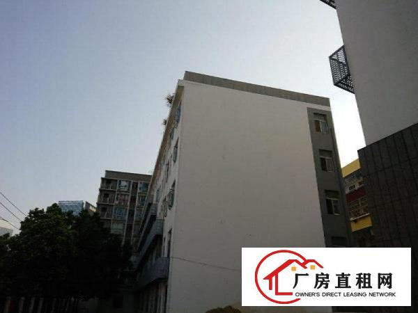 
五和大道边精装修一楼2600平米电商办公展厅出租