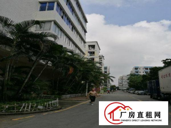 
龙壁工业城厂房出租整层2460平米