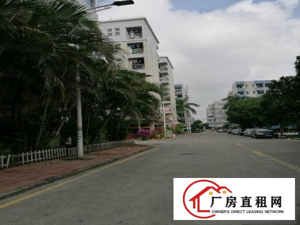 
龙壁工业城厂房出租整层2460平米