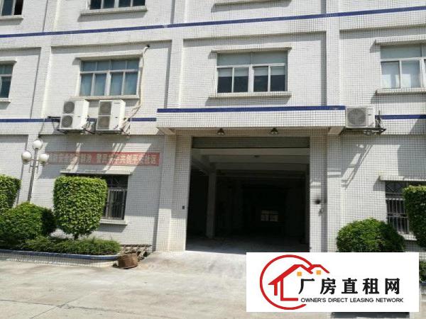 
李朗工业园厂房出租一楼5002000平米楼上也有