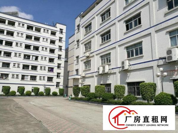 
李朗工业园厂房出租一楼5002000平米楼上也有