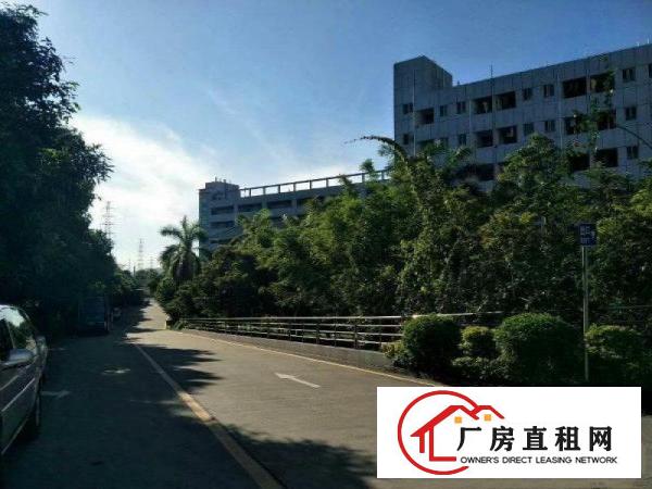 
华为边厂房出租2480平米带精装修