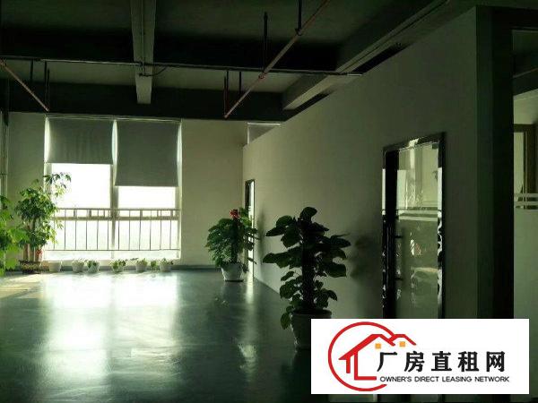 
华为边厂房出租2480平米带精装修