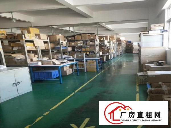 
原房东雪象医院新出整层2380平带精装修厂房