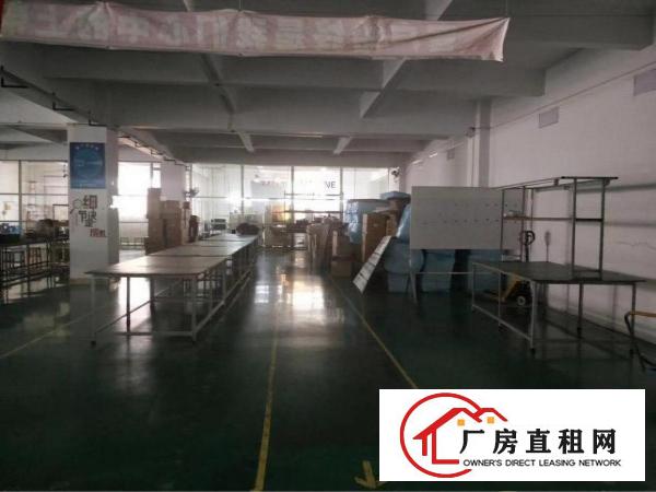 
原房东雪象医院新出整层2380平带精装修厂房