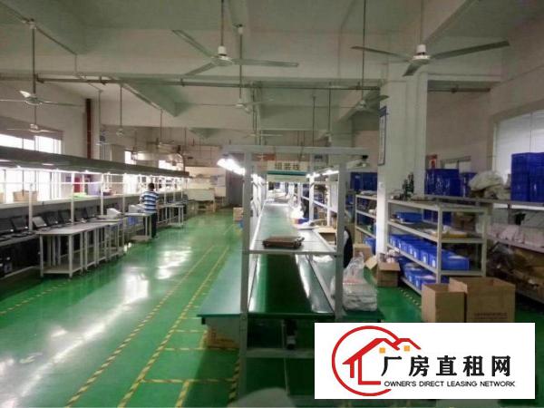 
坂田亚洲工业区680平厂房新空出板李大道马路边