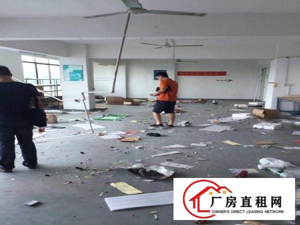 
上雪科技园带装修200.300.500.1000平