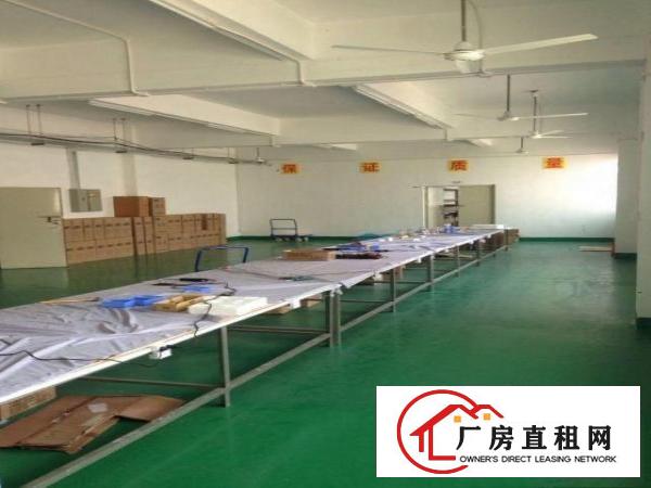
地铁口电商园150至1200平方出租