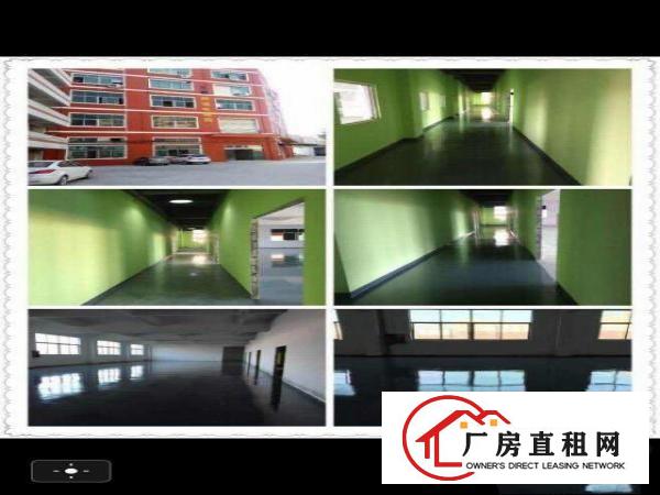 
地铁口电商园150至1200平方出租