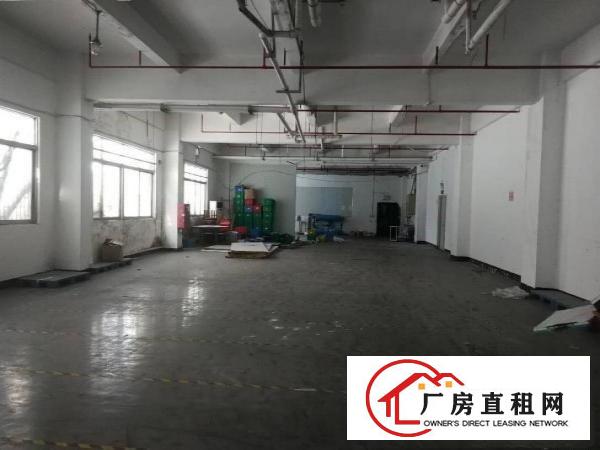 
坂田布龙路地坪漆无层车间厂房仓库1480平可分租