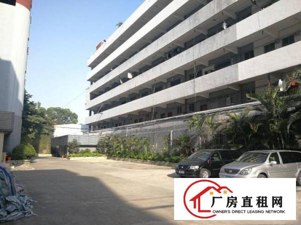
坂田布龙路地坪漆无层车间厂房仓库1480平可分租