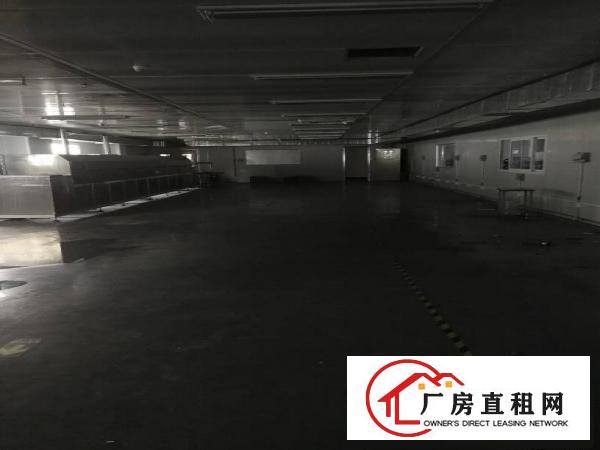 
坂田上雪科技园附近一、二楼1480厂房仓库独院精装