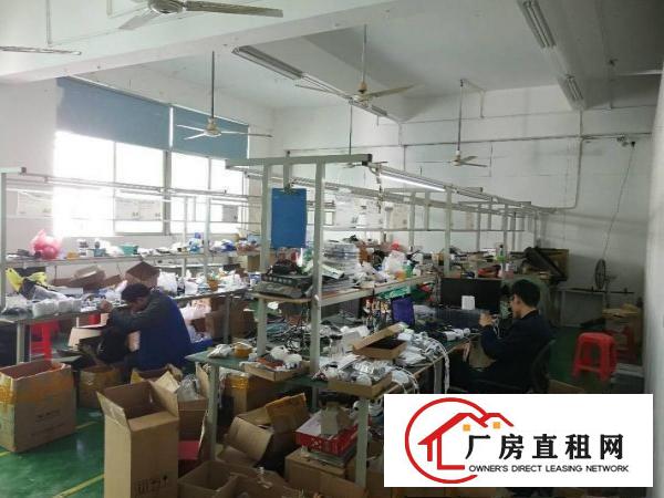 
客户到期坂田上雪科技园东区厂房550平米精装修