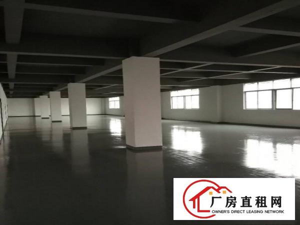 
坂田上雪科技园5401480平米厂房仓库精装修