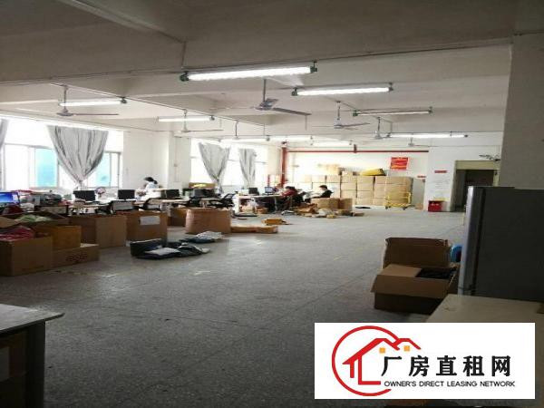 
坂田上雪科技园带装修一楼楼上1480540出租