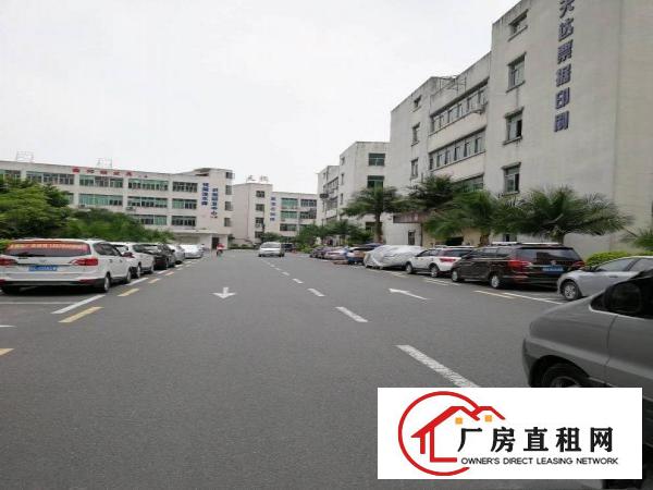 
上雪科技园新出厂房仓库1380平带装修地坪漆可分租