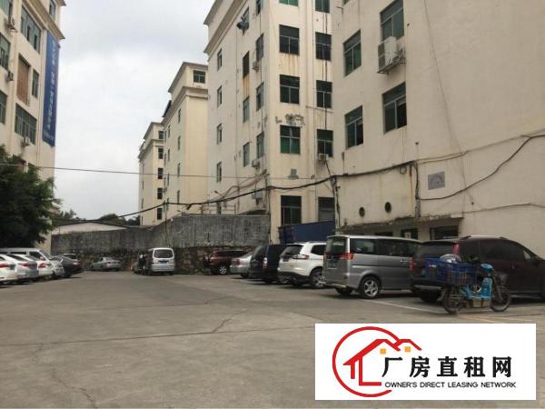 
上雪科技园现有300平米带装修厂房出租