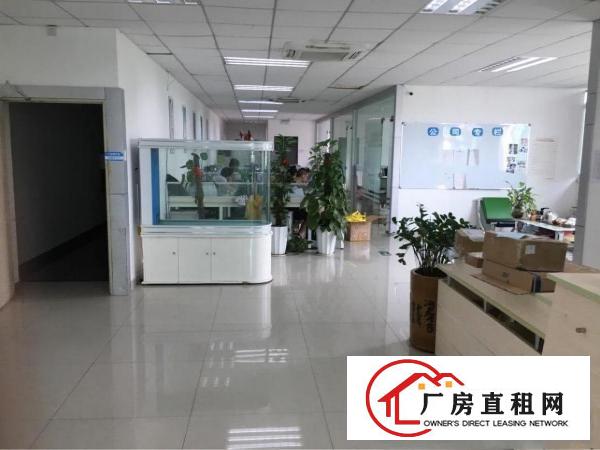 
上雪科技园现有300平米带装修厂房出租