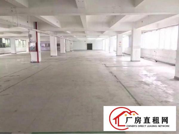 
坂田天虹龙壁工业区2500厂房整层出租