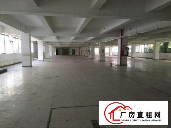 
坂田天虹龙壁工业区2500厂房整层出租