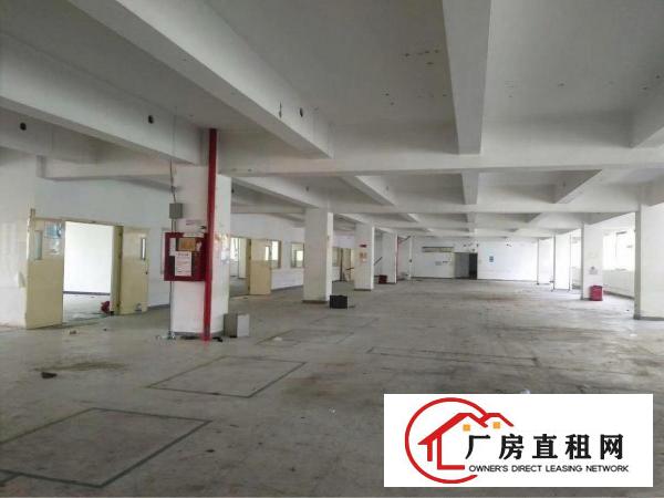
坂田天虹龙壁工业区2500厂房整层出租