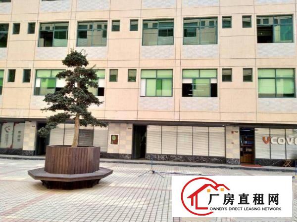 
红门科技园厂房240平米带装修吉华路
