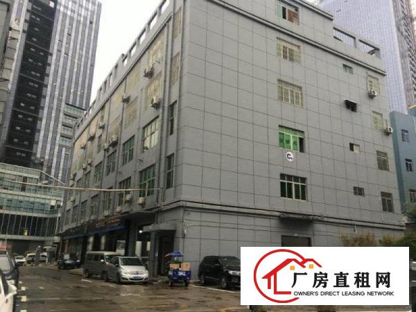 
坂田天安云谷办公厂房带装修隔好户型1850平出租