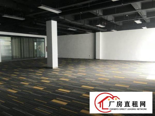 
坂田精装修办公厂房500平800平至2000平出租