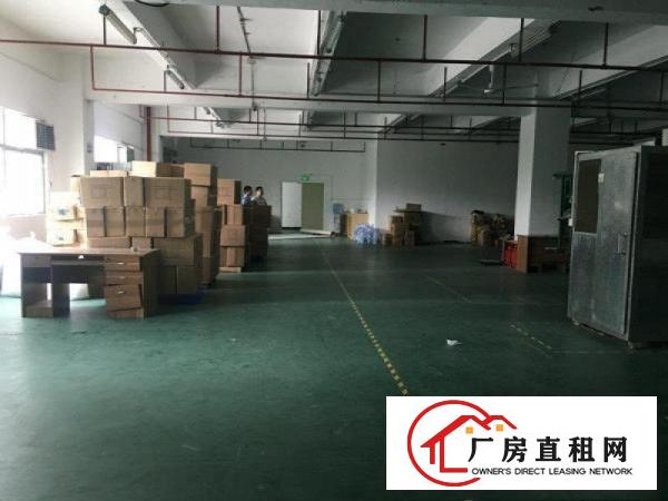 
坂田南坑工业区带装修1100平厂房出租