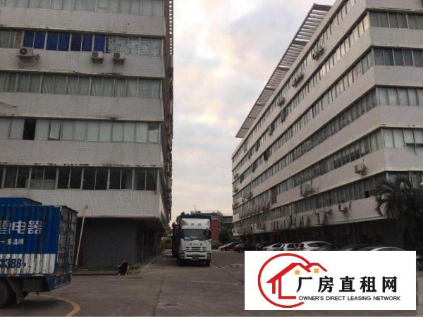 
坂田新出一楼带装修2000平米厂房出租