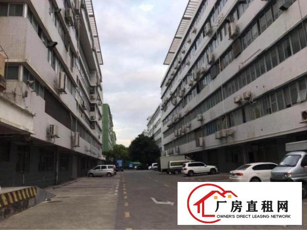 
坂田新出一楼带装修2000平米厂房出租