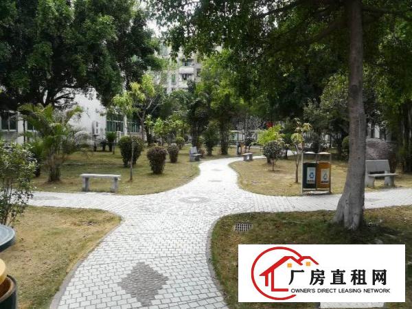 
华为基地附近有1楼500平1100平2000平出租