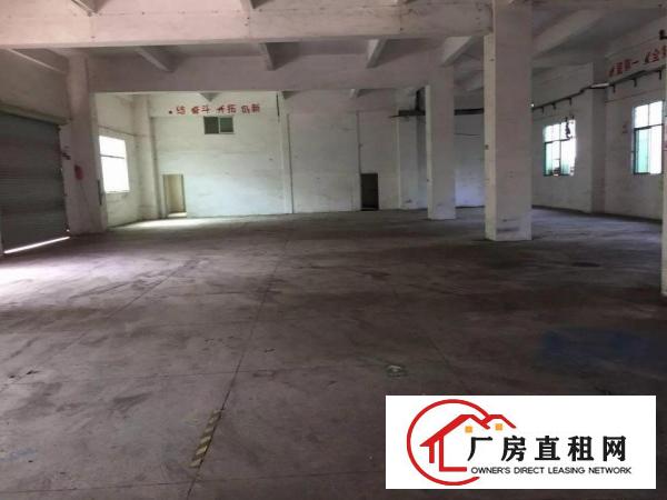 
原业主1楼仓库厂房出租实用率高
