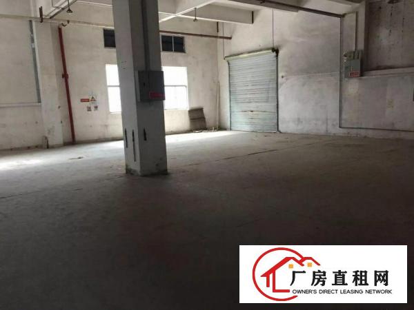 
原业主1楼仓库厂房出租实用率高