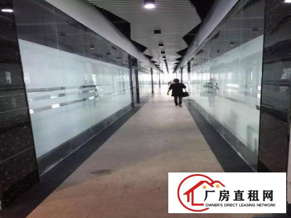 
实用率高五和大道厂房办公招租大小可分