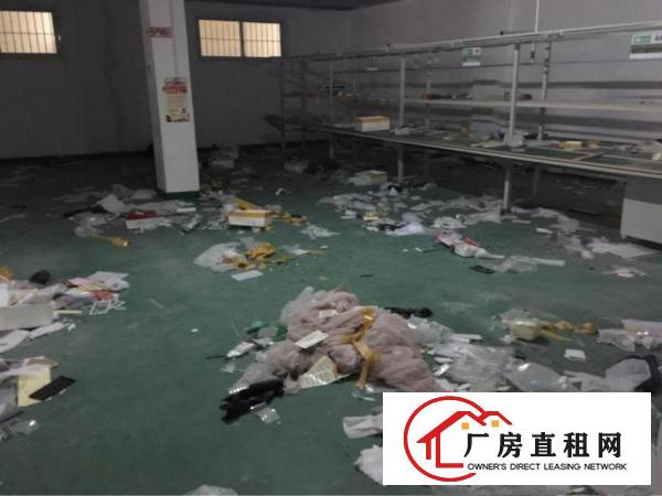 
坂田杨美地铁口办公厂房出租，带装修