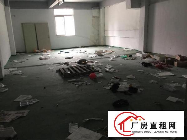
坂田杨美地铁口办公厂房出租，带装修