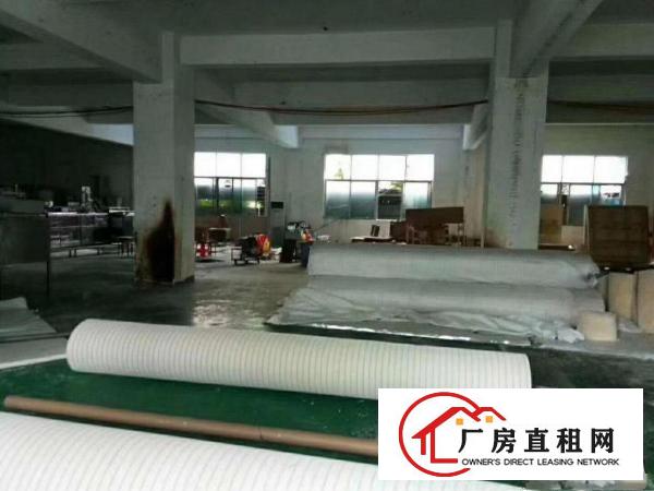 
杨美一楼5500平方，有卸货平台和消防喷淋。