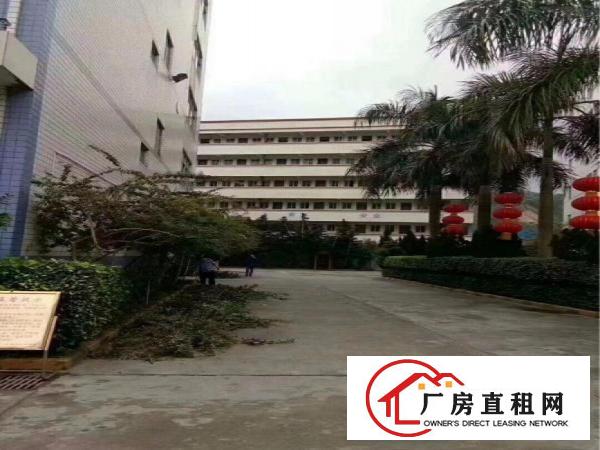 
杨美一楼5500平方，有卸货平台和消防喷淋。