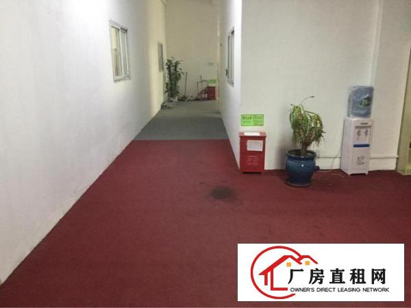 
文坑工业区精装修1200平出租，实用面积1000平