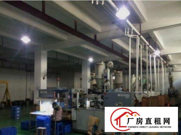 
平湖辅城坳工业标准一楼1000平招租带消防喷淋