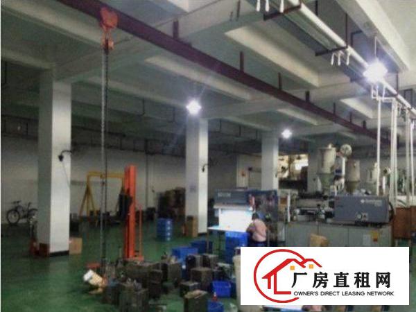 
平湖辅城坳工业标准一楼1000平招租带消防喷淋