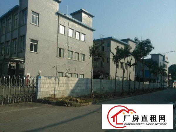 
平湖白泥坑小面积楼上正规厂房出租200平起